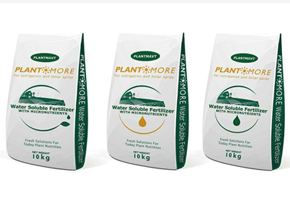 化肥廠(chǎng)鍋爐案例