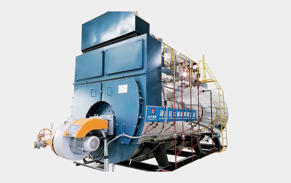 LWNS冷凝燃?xì)庹羝仩t